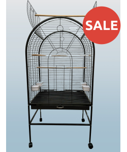 Parrot Supplies